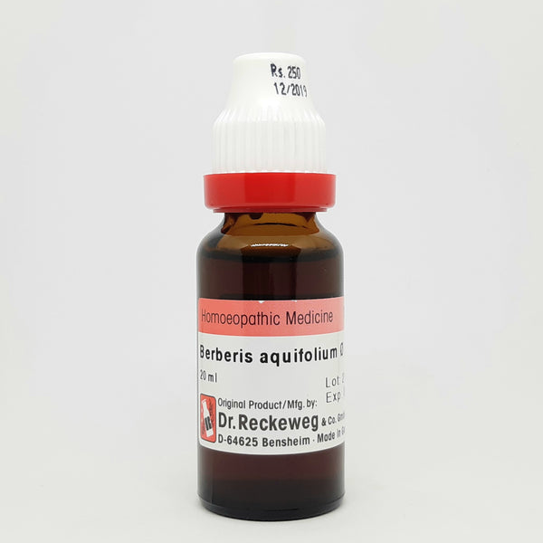 Berberis aquifolium Q 22 ml Dr. Reckeweg
