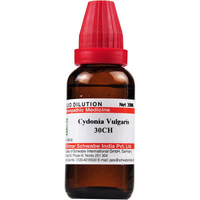 Cydonia vulgaris 30CH 30ml Schwabe
