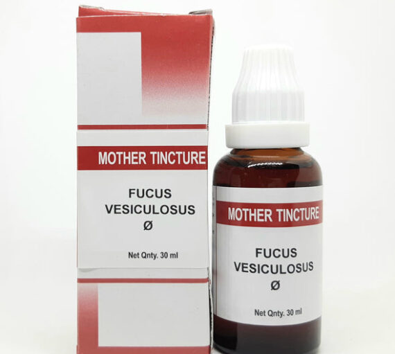 Fucus vesiculosus Q 30 ml Bakson