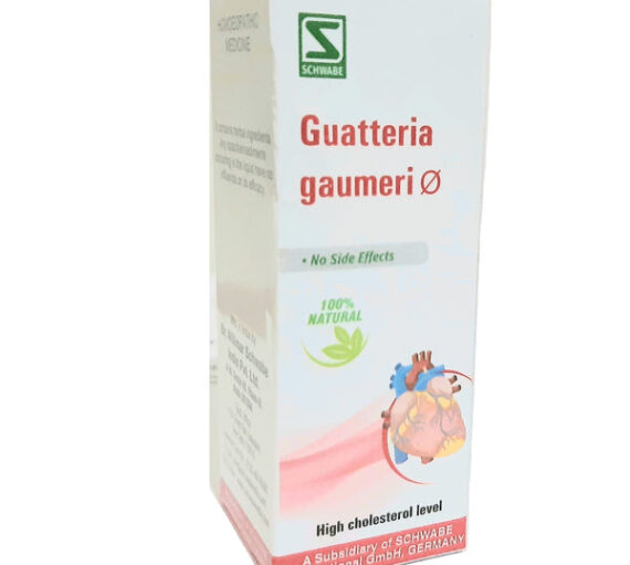 Guatteria Gaumeri Q Schwabe