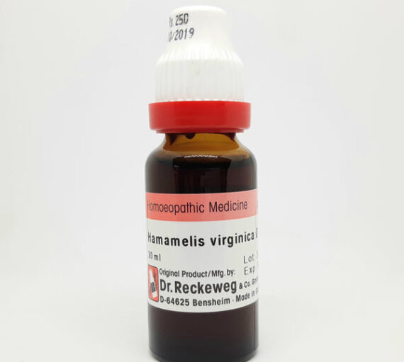 Hamamelis virginica Q 20 ml Dr. Reckeweg
