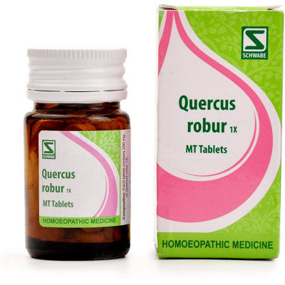 Quercus robur 1x MT tabs