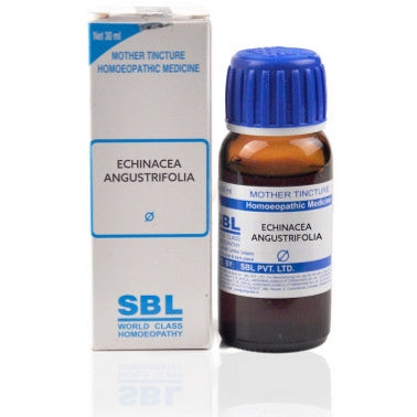 SBL Echinacea angustifolia Q 30 ml