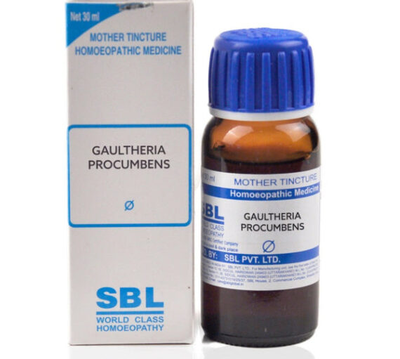 SBl Gaultheria procumbens Q 30 ml
