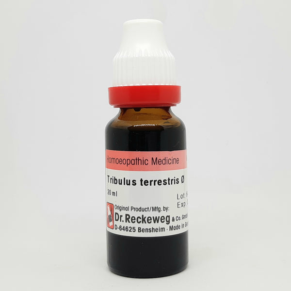 Tribulus terrestris Q Dr. Reckeweg